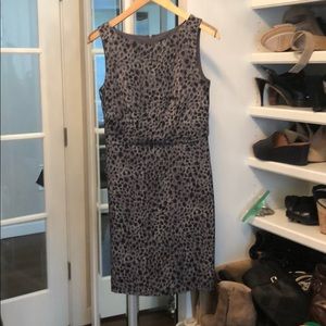 Anne Taylor leopard print dress